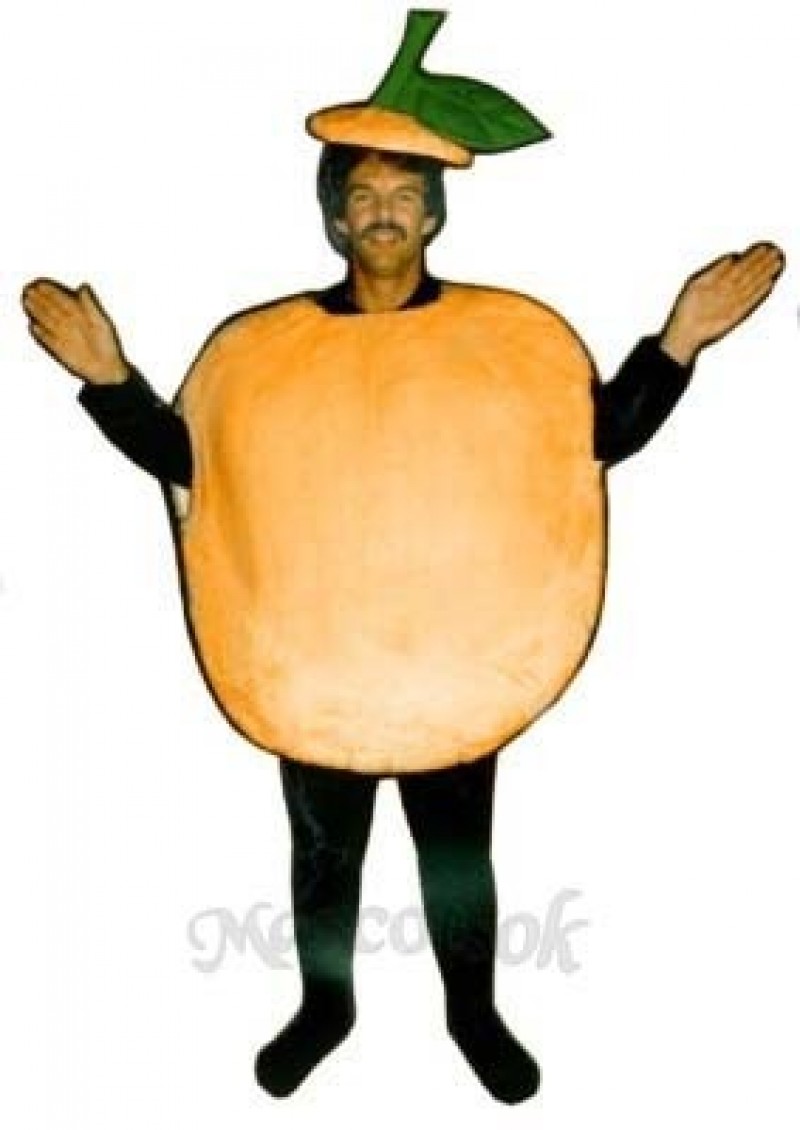 Peach Mascot Costume