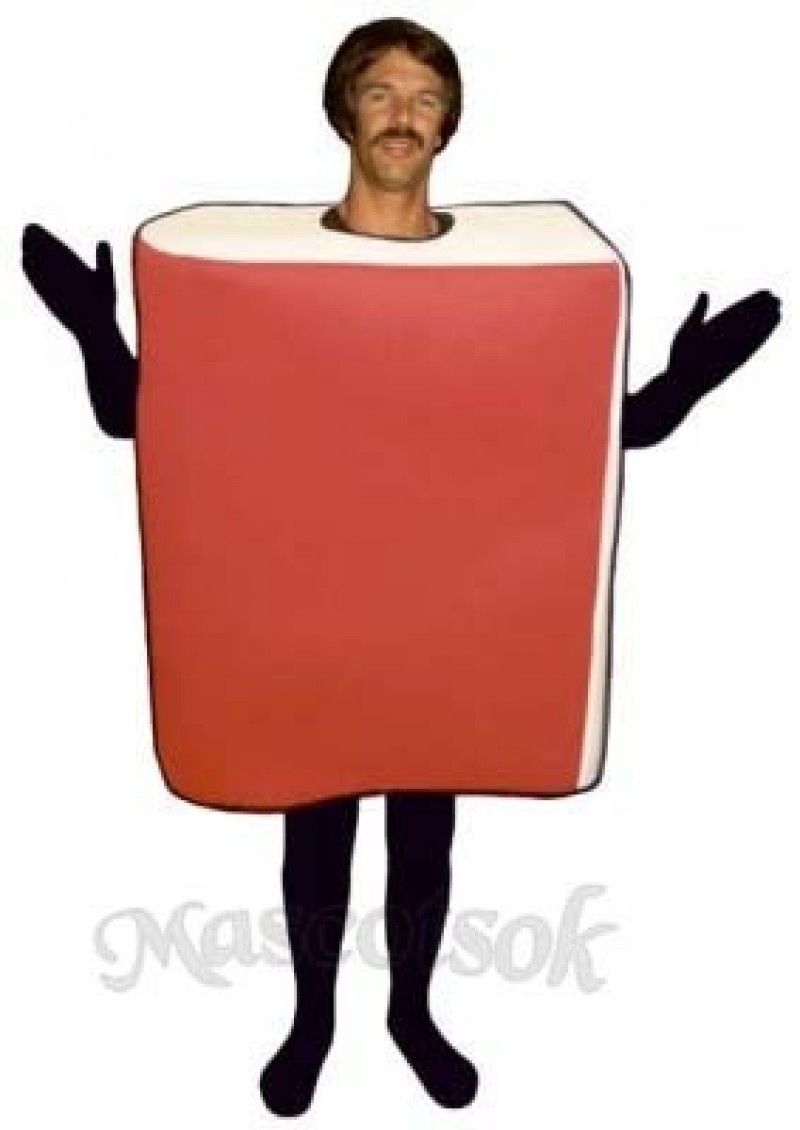 Book Mascot Costume