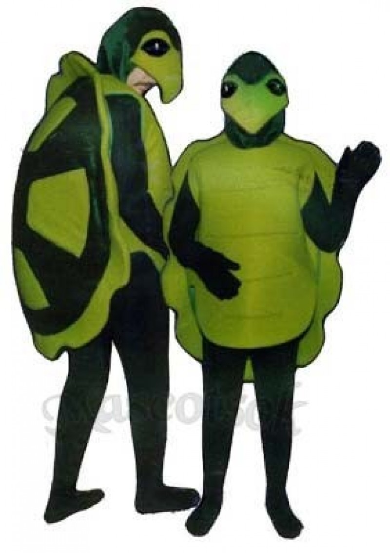 One Turtle Mascot Costume
