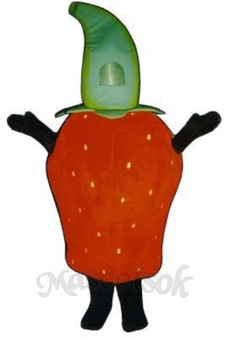 Strawberry Mascot Costume