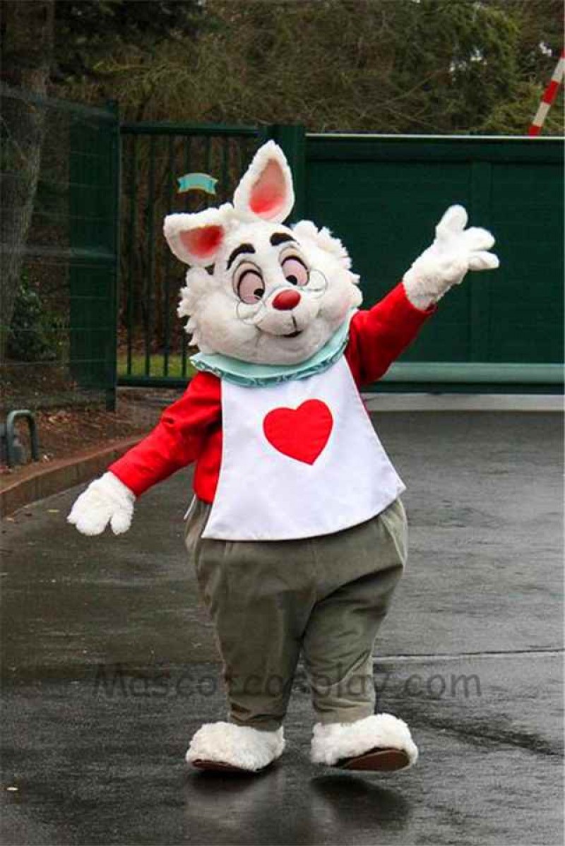 Easter Alice In Wonderland RABBIT Mascot Easter Bunny Costume