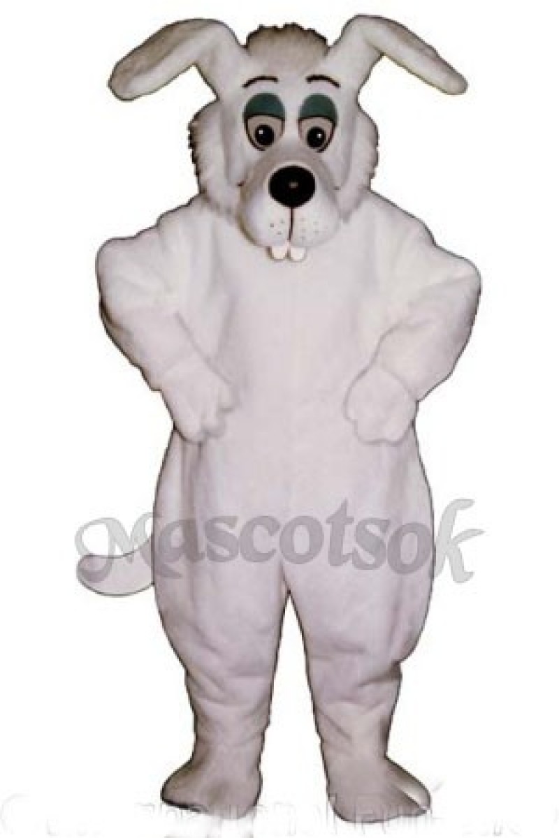 Cute Bucktooth Dog Mascot Costume