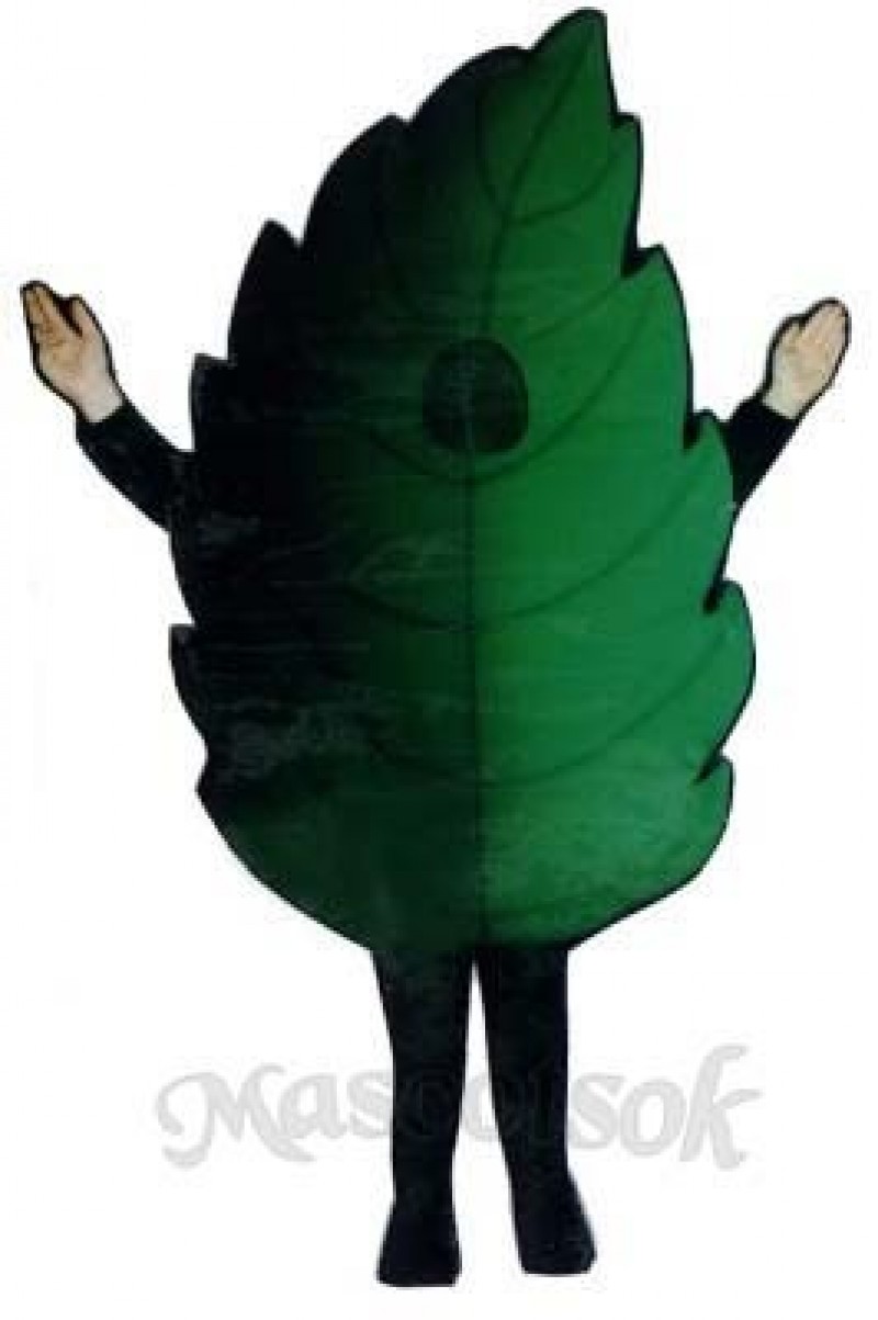 Leaf Mascot Costume