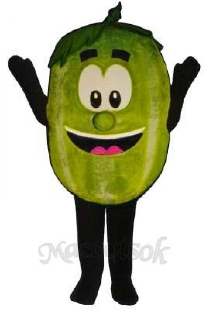 Wally Watermelon Mascot Costume