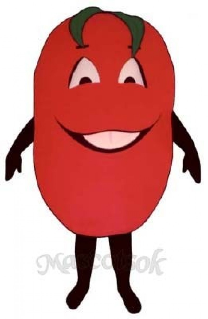 Big Tomato Mascot Costume