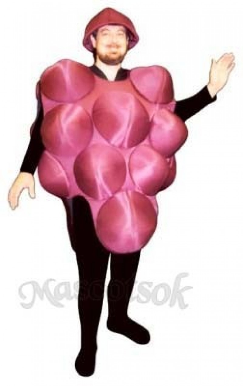 Grapes Mascot Costume