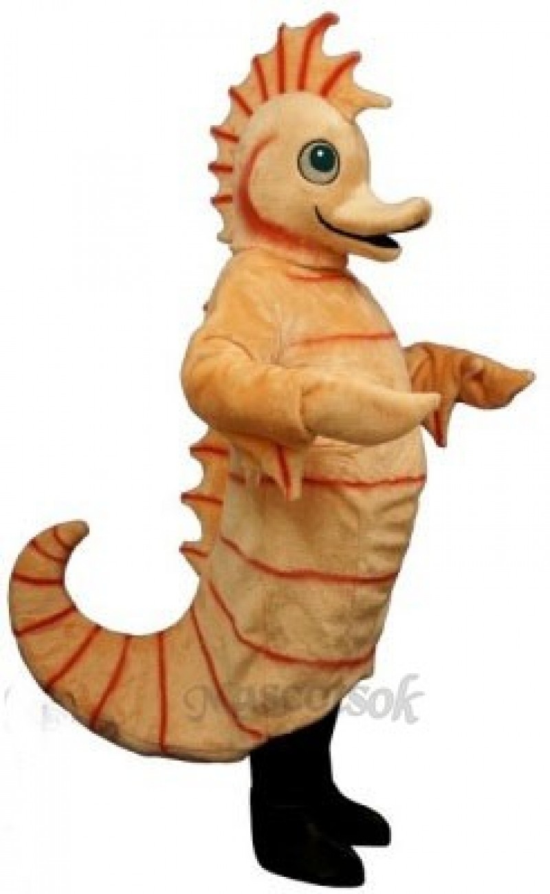 Cute Cartoon Seahorse Mascot Costume