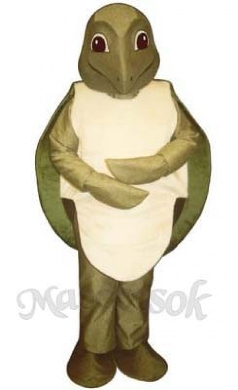 Sea Turtle Mascot Costume