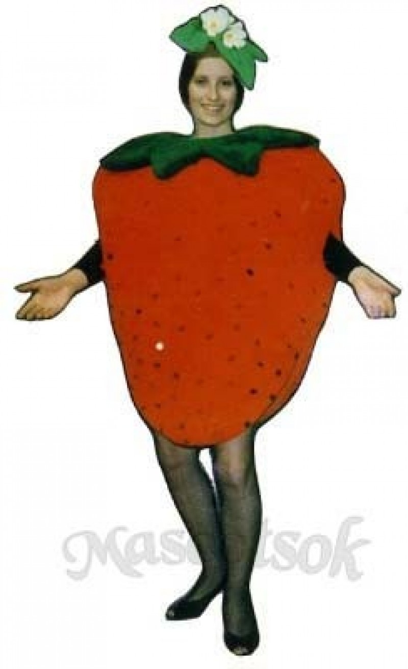 Strawberry Mascot Costume