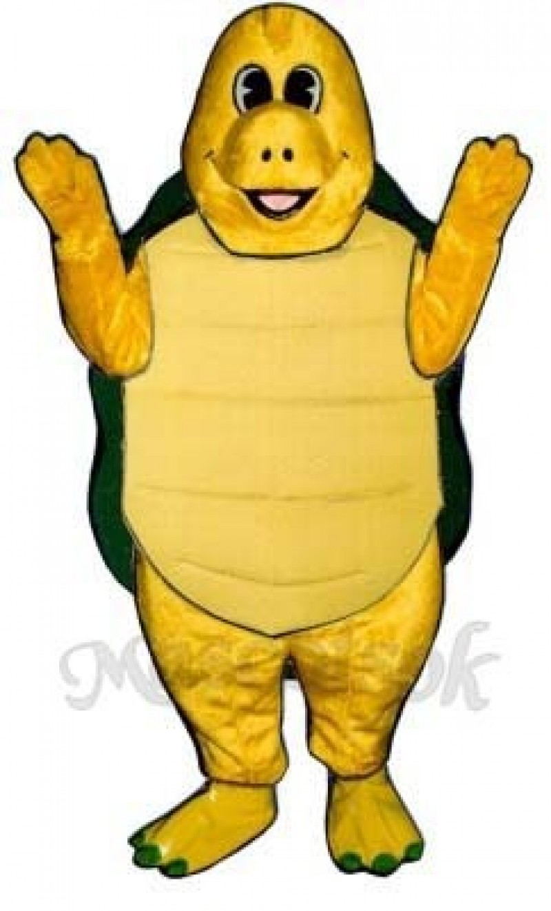 Terry Turtle Mascot Costume