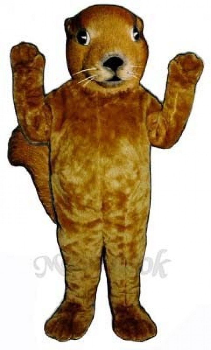 Realistic Squirrel Mascot Costume