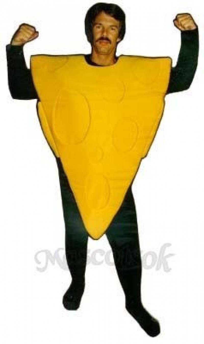 Big Cheese Mascot Costume