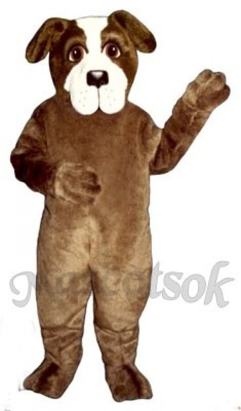 Cute St. Bernard Dog Mascot Costume