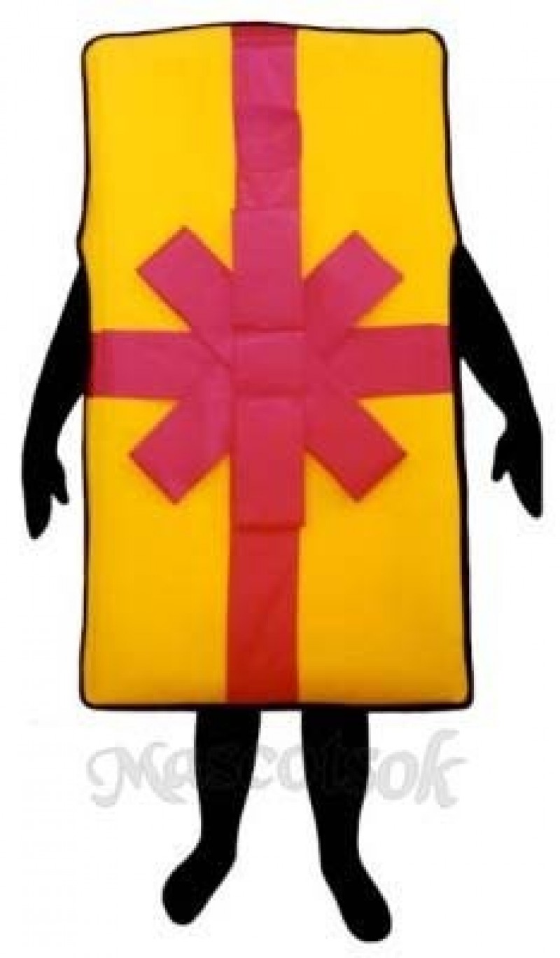Big Gift Mascot Costume