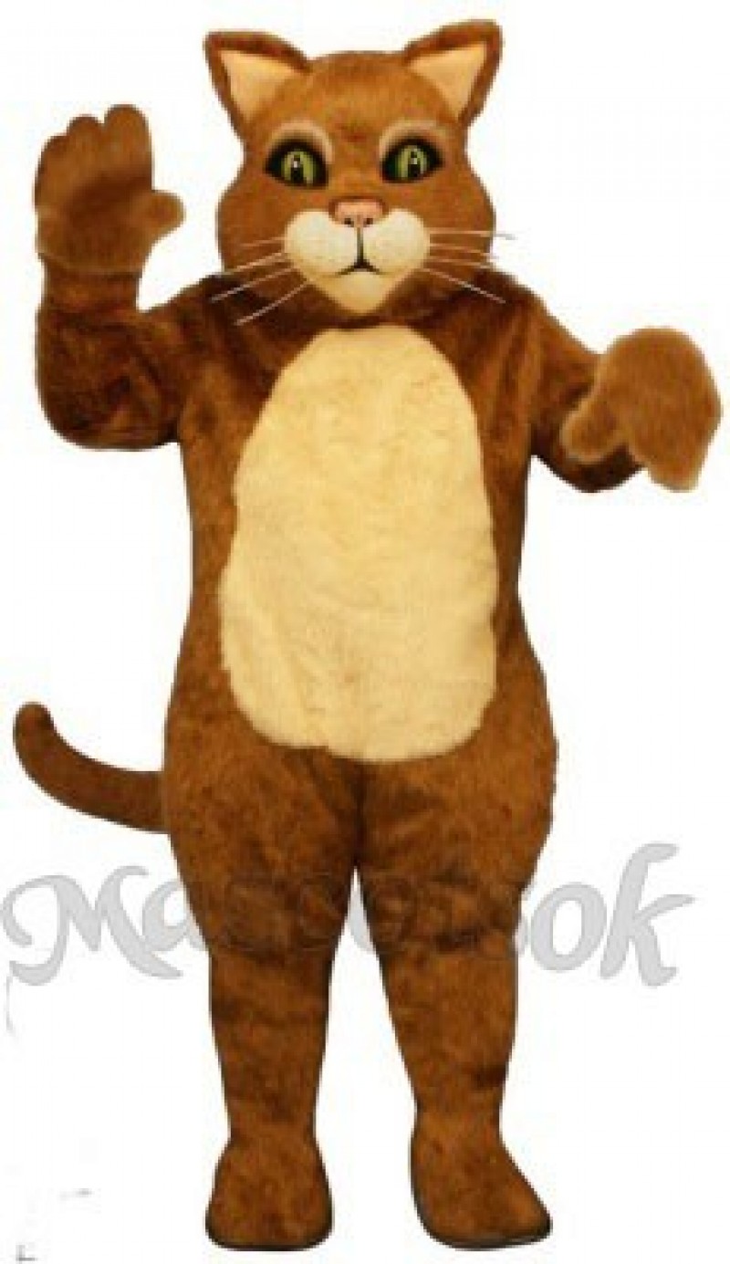 Cute James the Cat Mascot Costume