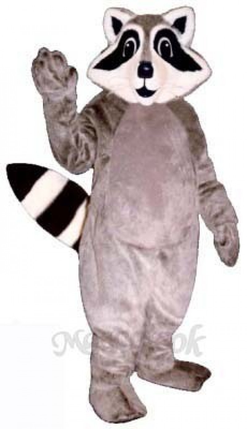 Little Raccoon Mascot Costume