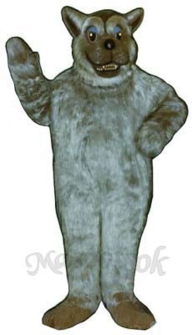 Bad Wolf Mascot Costume