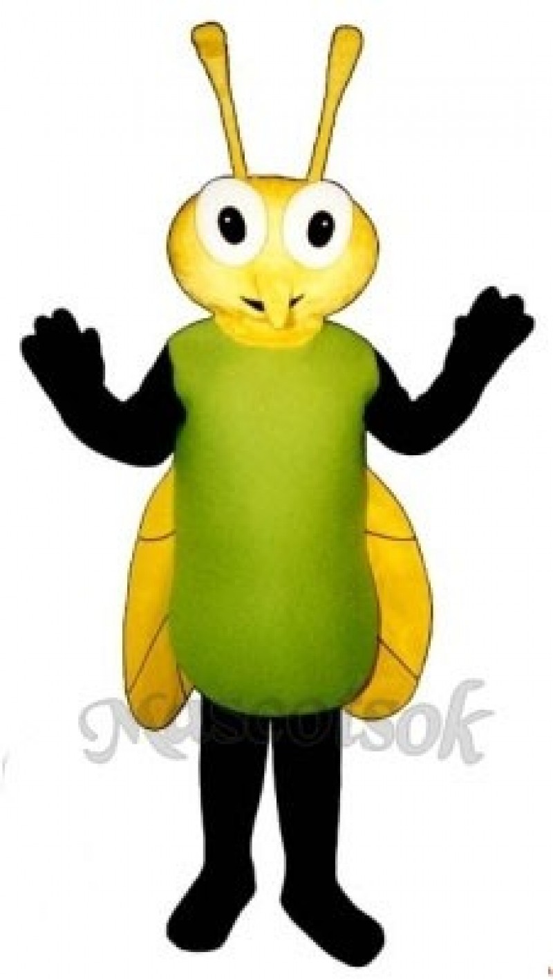 Fairy Fly Mascot Costume