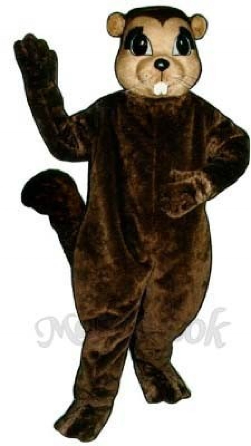 Susie Squirrel Mascot Costume