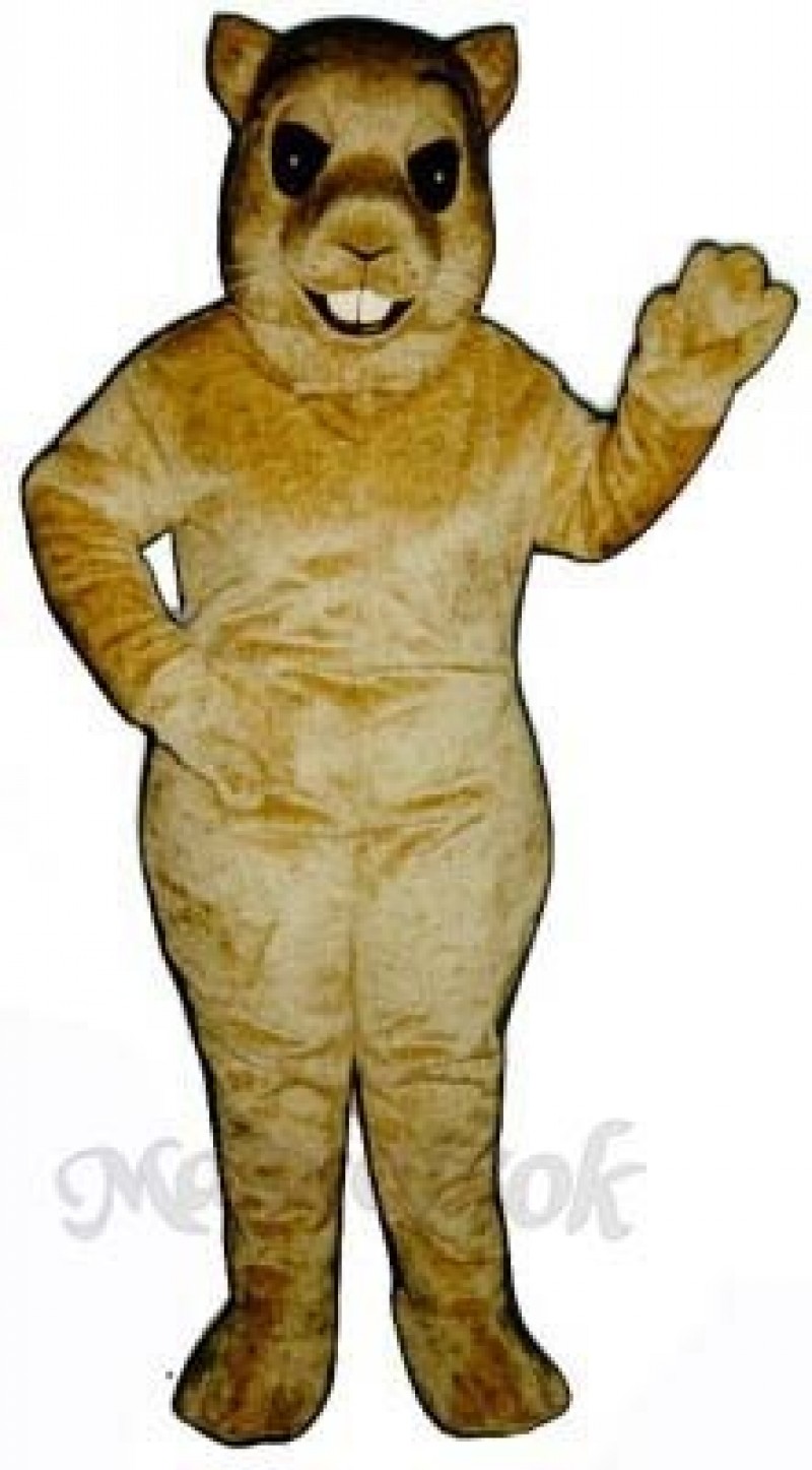 Gopher It Mascot Costume
