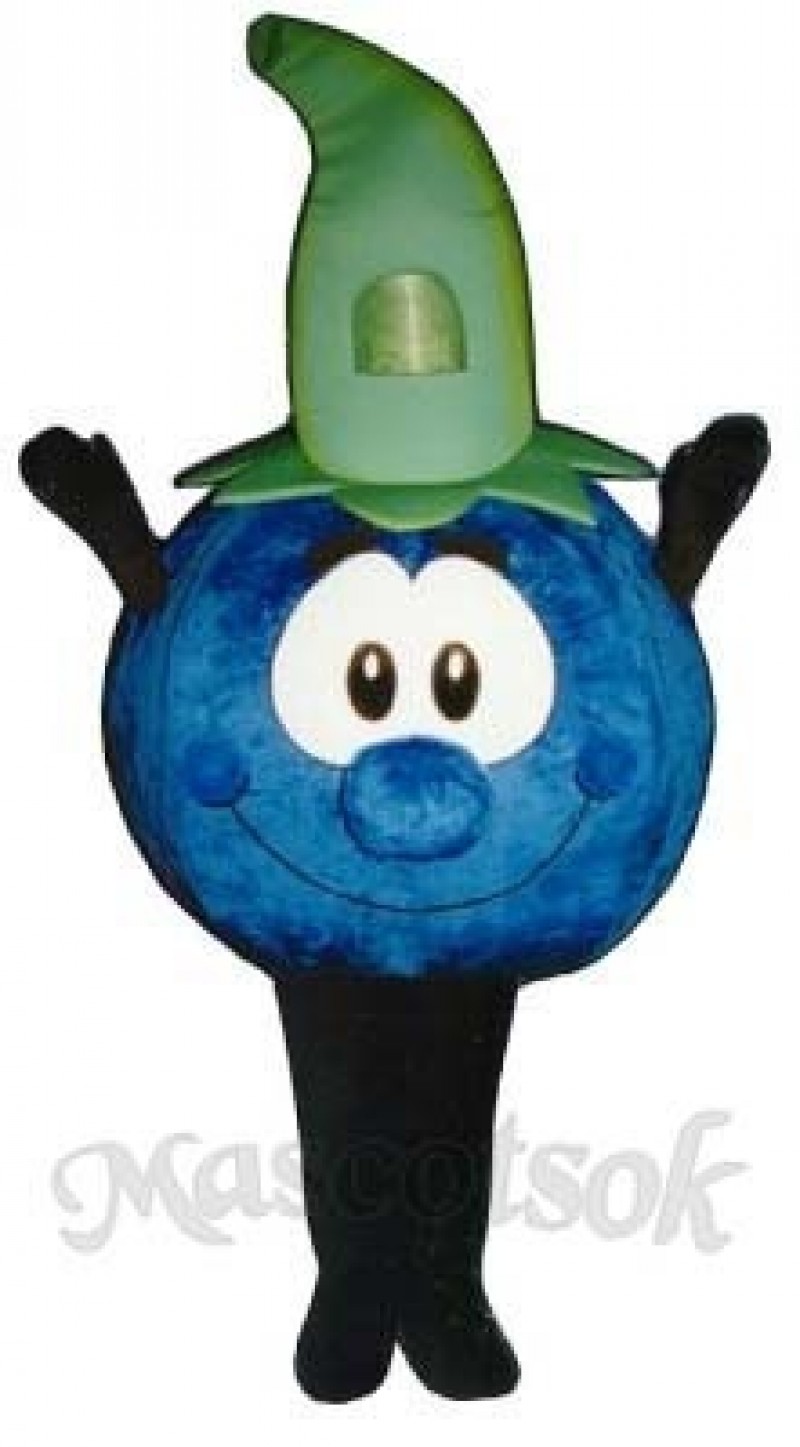Bobby Blueberry Mascot Costume