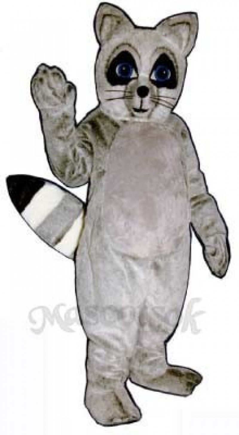 Raccoon Mascot Costume