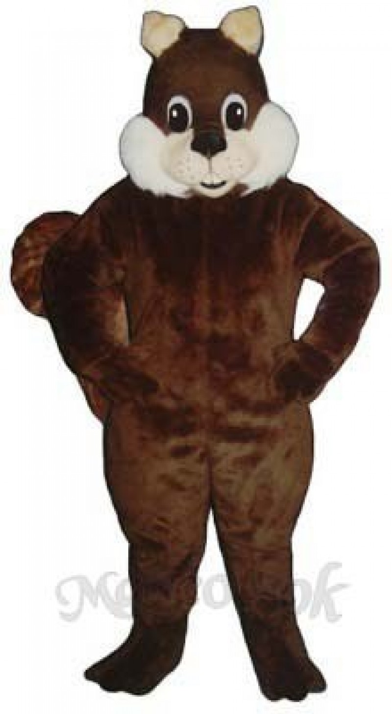 Squirrel Mascot Costume