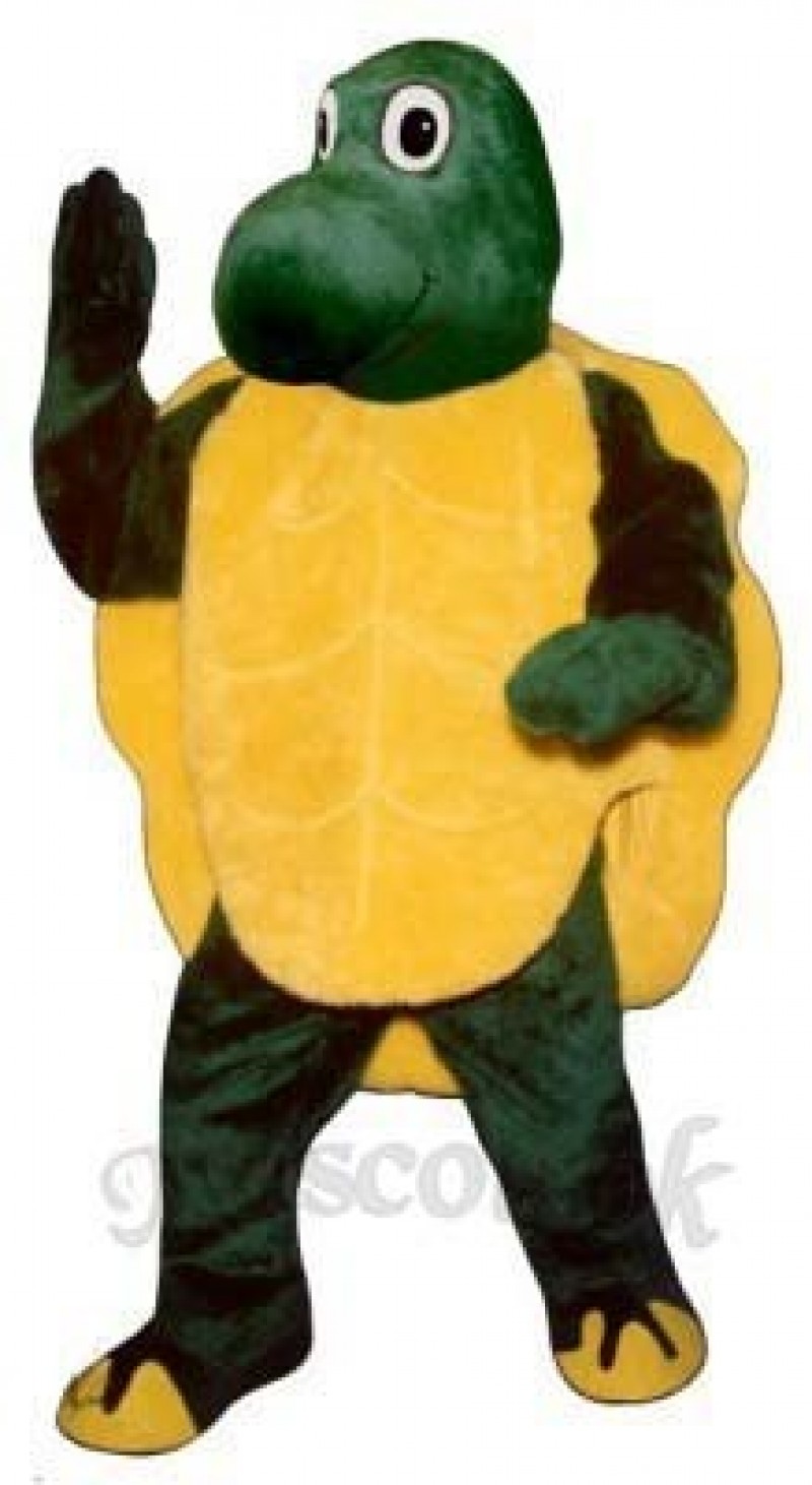 Slow Turtle Mascot Costume