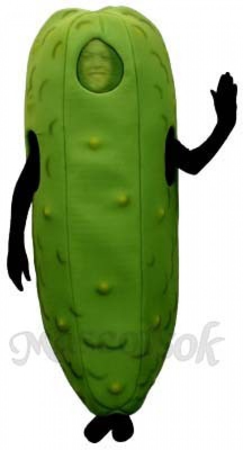 Dill Pickle Mascot Costume