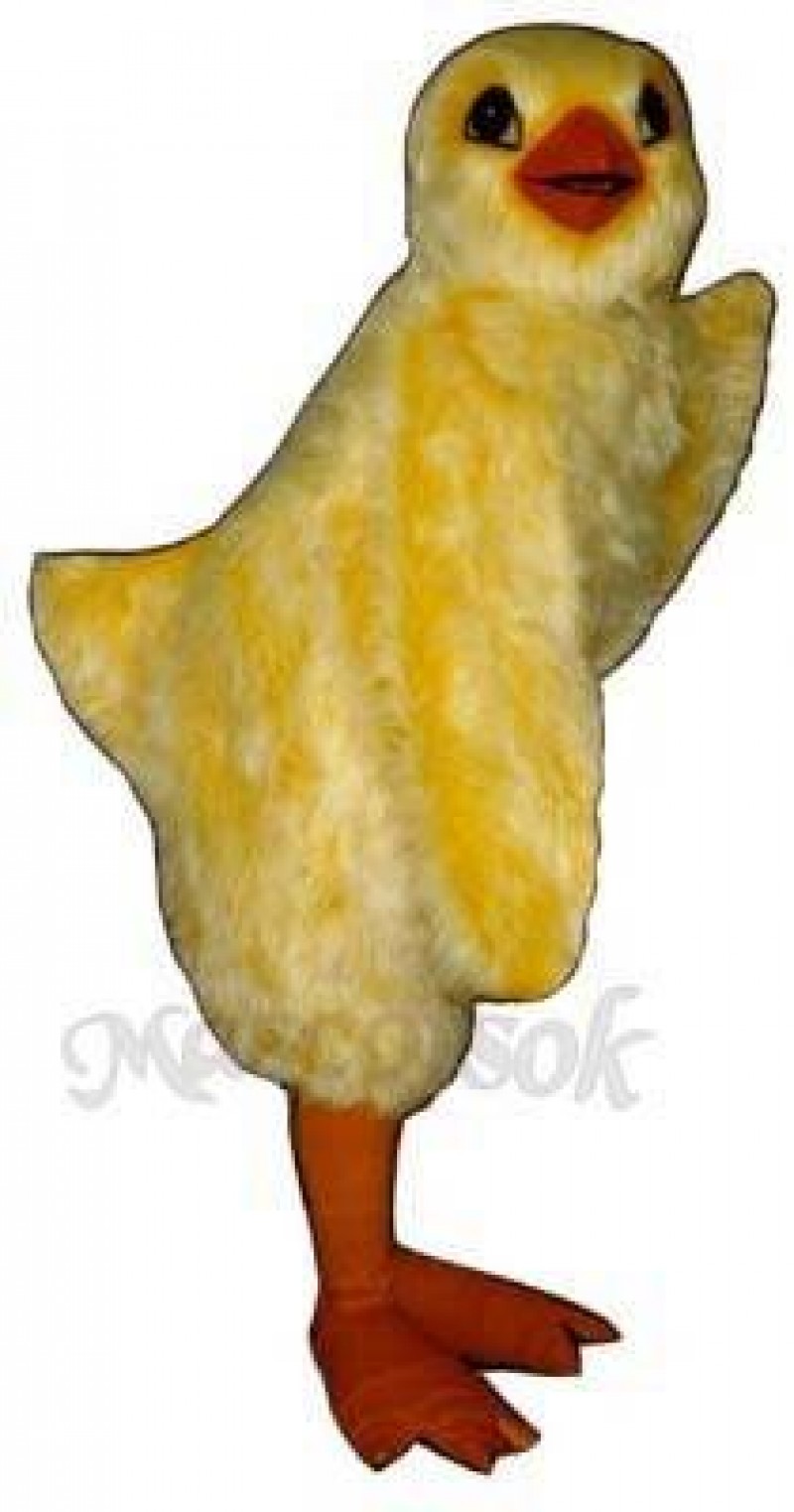 Cute Chick Mascot Costume
