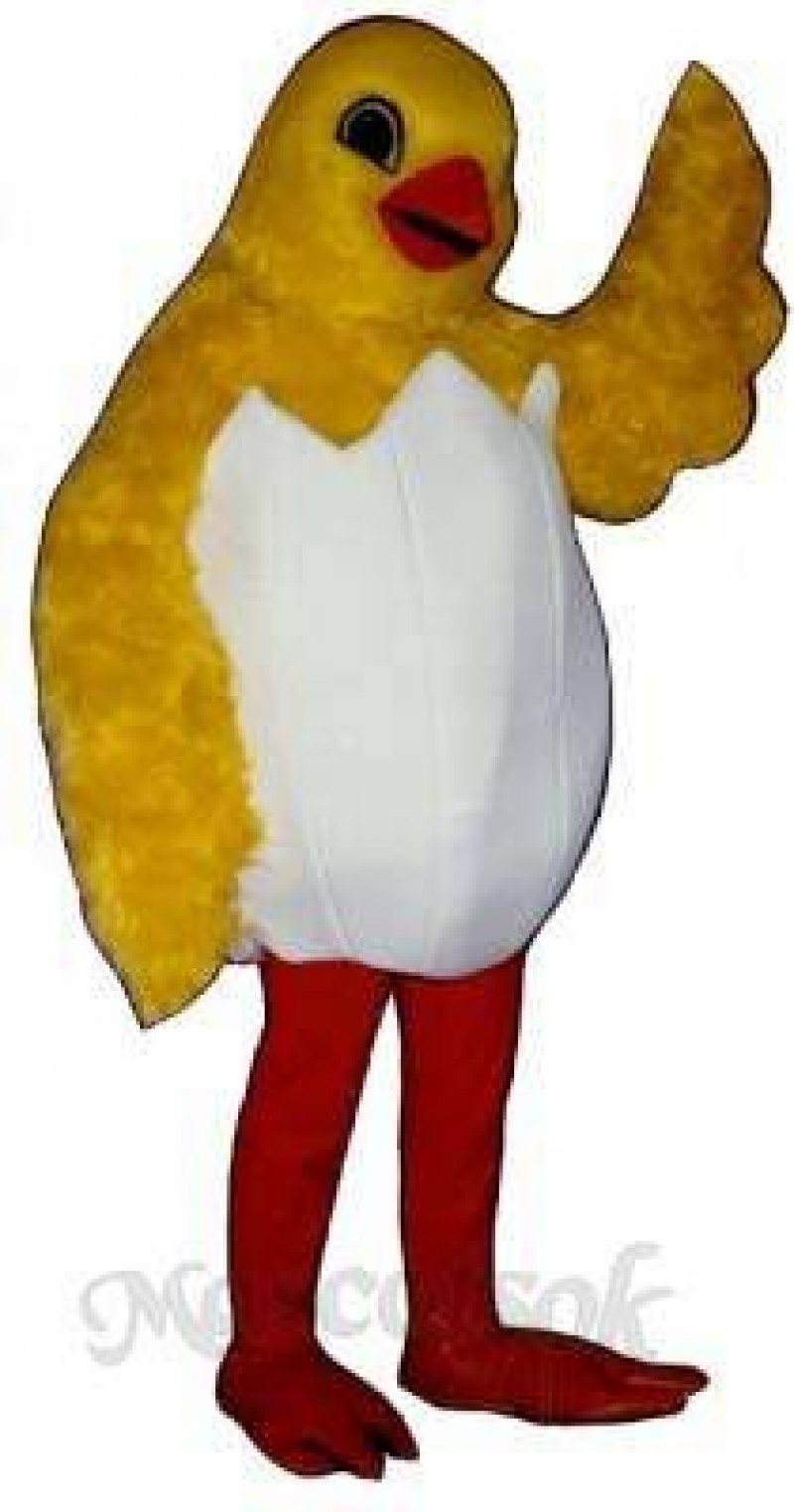 Cute Chick In Egg Mascot Costume