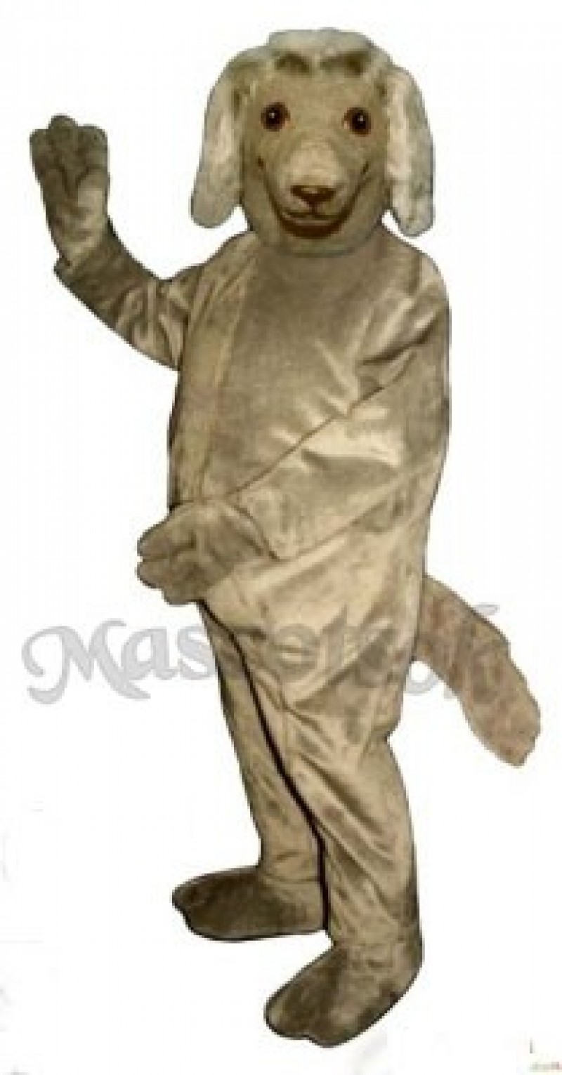 Cute Afghan Dog Mascot Costume