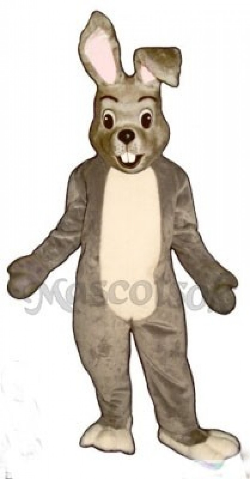 Easter Happy Bunny Rabbit Mascot Costume