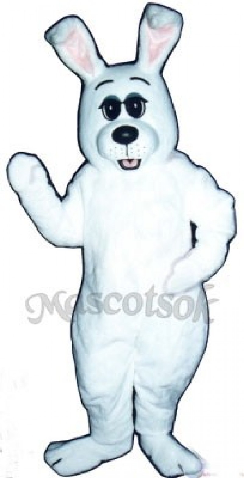 Cute Easter Bunny Rabbit Hop Mascot Costume