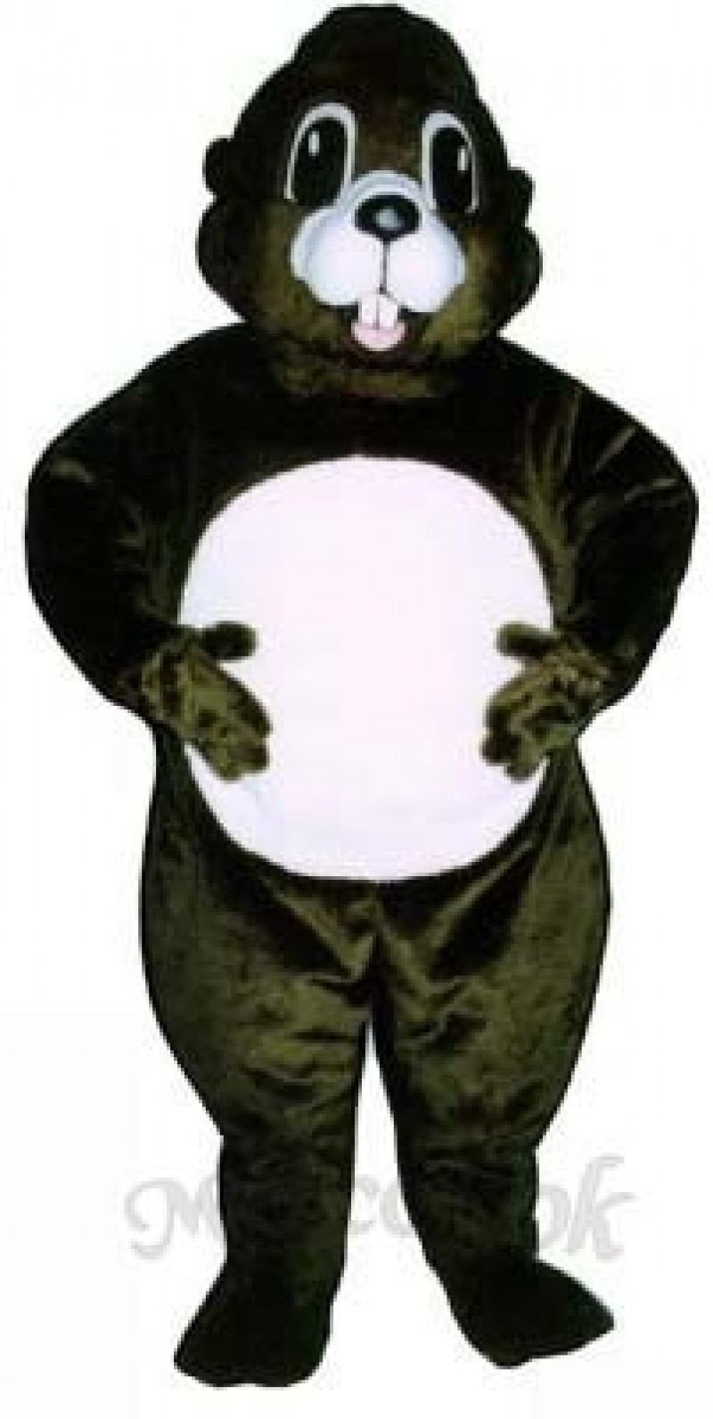 Happy Groundhog Mascot Costume