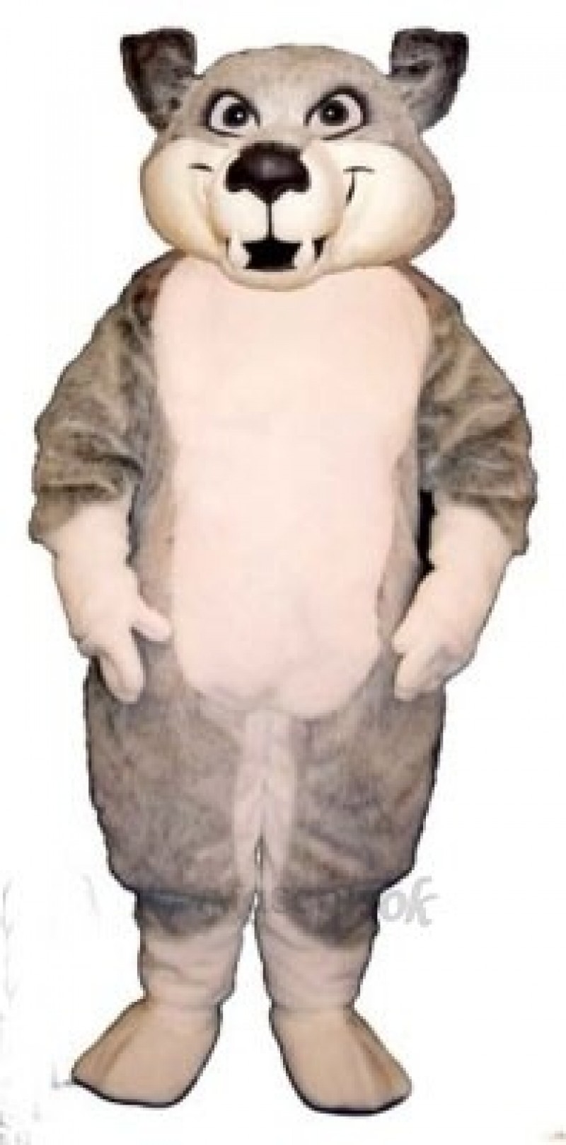 Cute Charley Wolf Mascot Costume