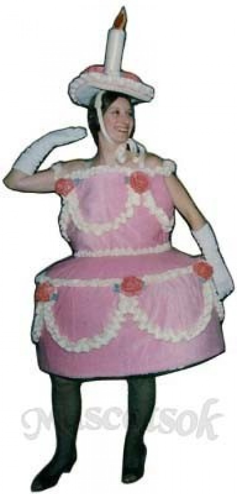 Birthday Cake Mascot Costume
