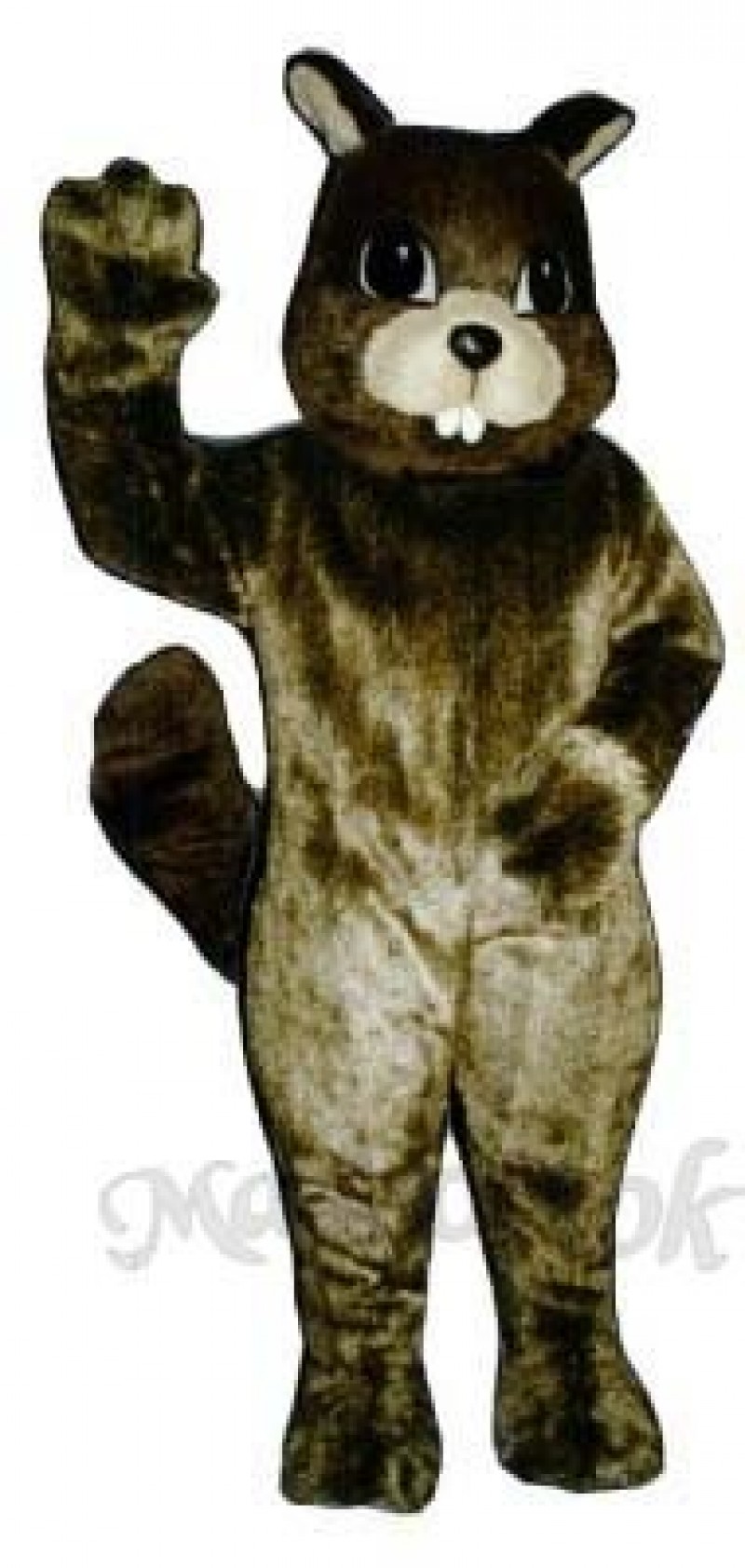 Squirrel Mascot Costume