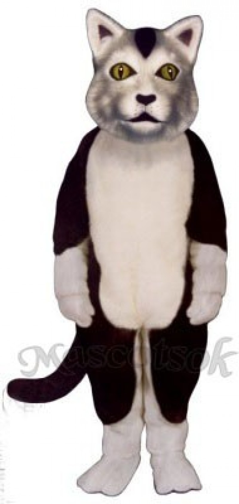 Cute Carlisle Cat Mascot Costume