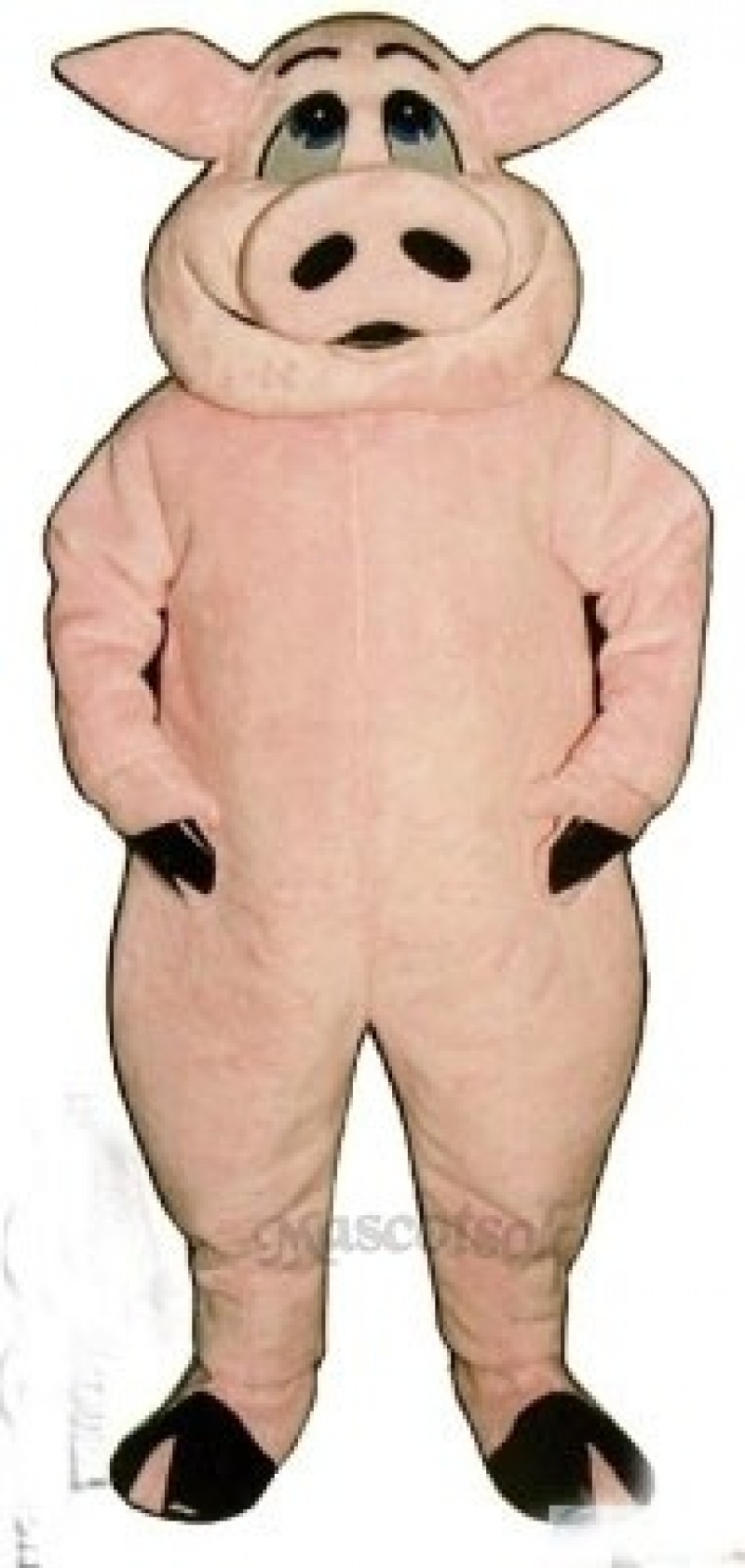 Hog Mascot Costume