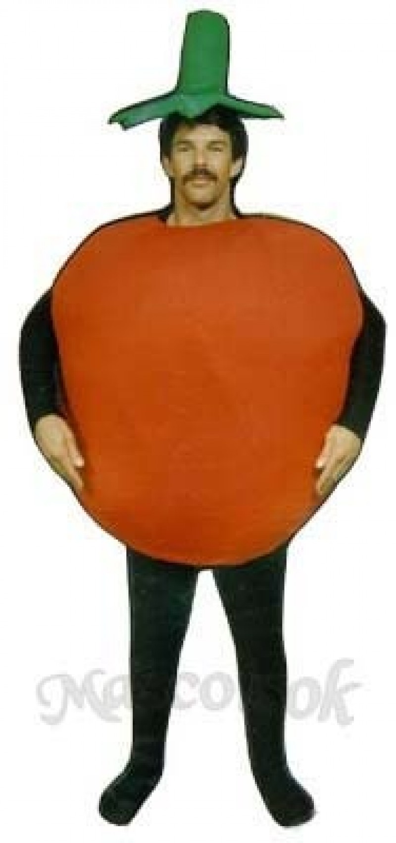 Tomato Mascot Costume