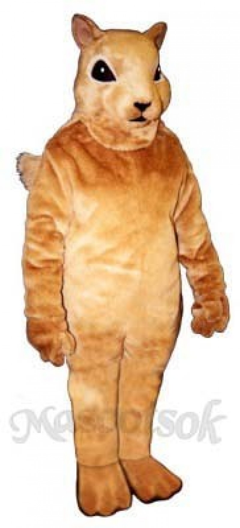 Squirrel Squirrely Mascot Costume