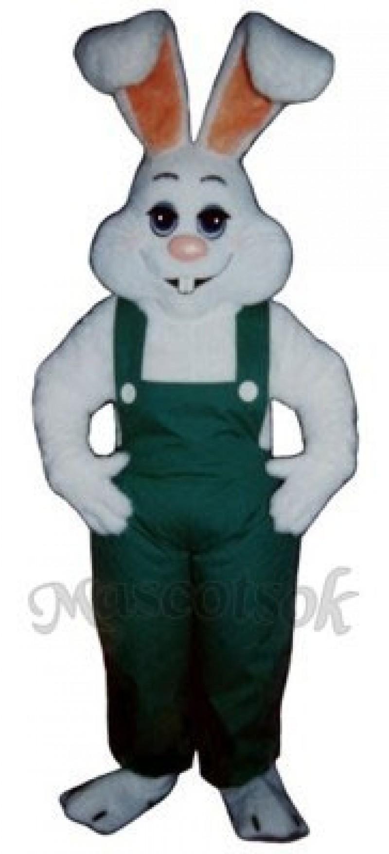 Easter Bunny Rabbit Boy Mascot Costume