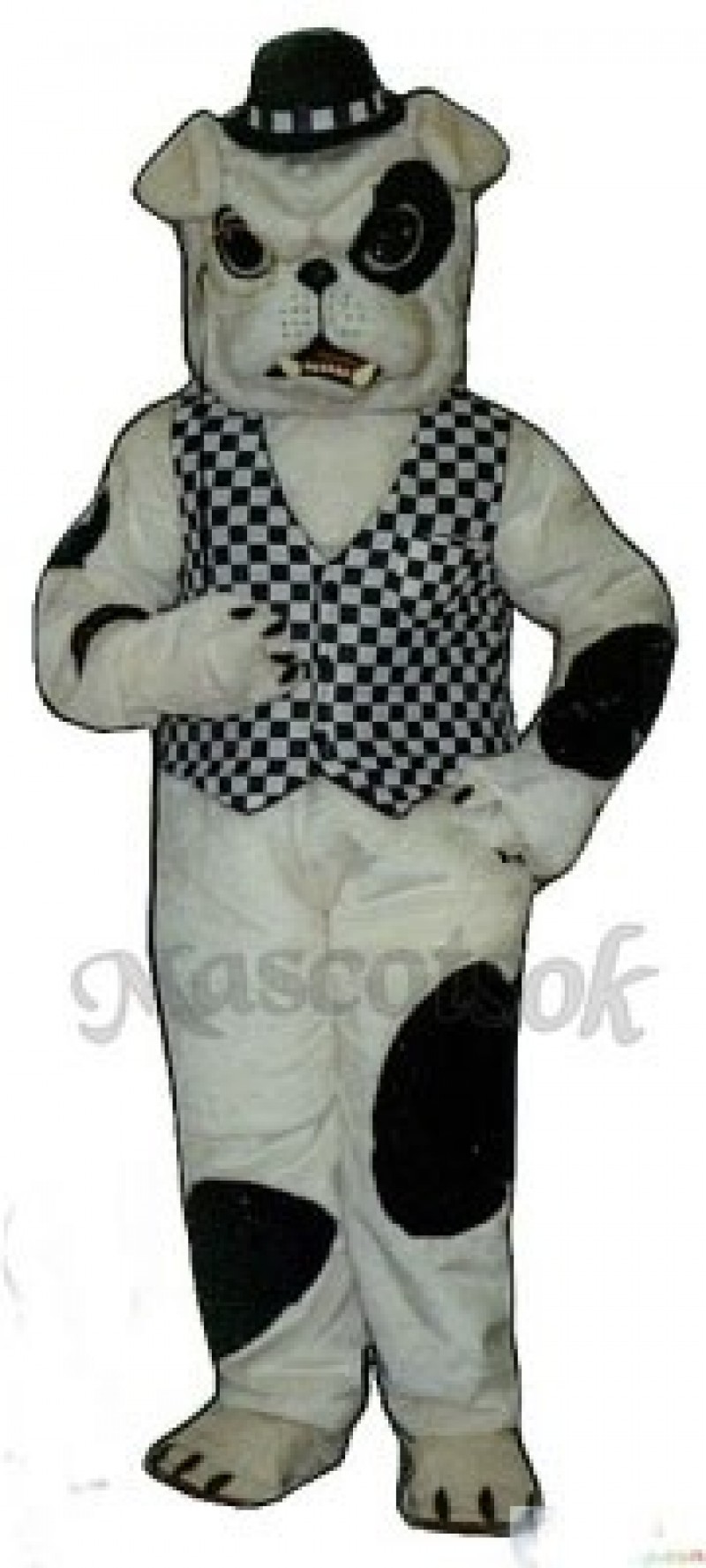 Cute English Bulldog Dog Mascot Costume