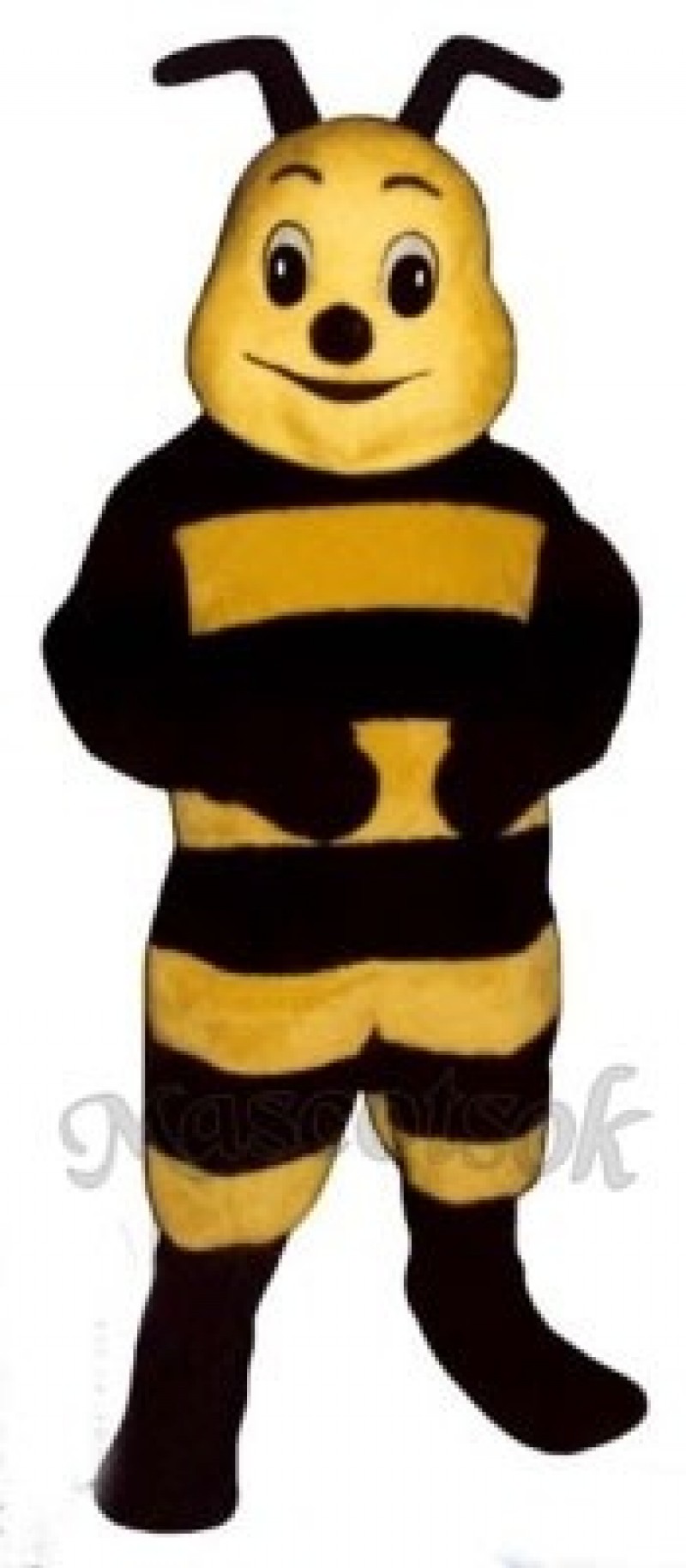 Honey Bee Mascot Costume