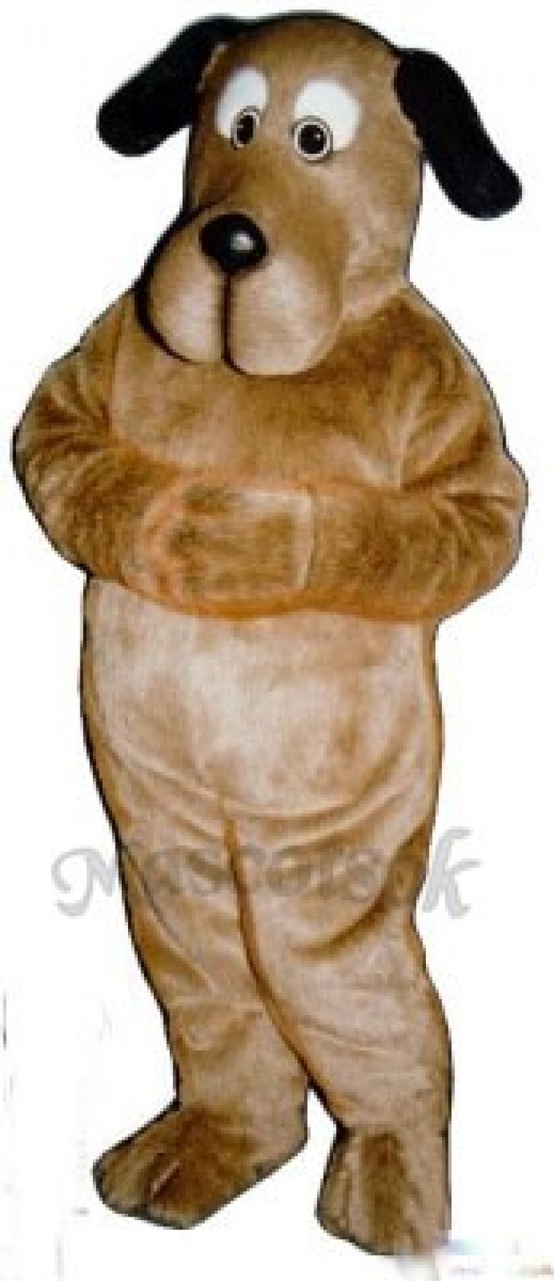 Cute Educated Dog Mascot Costume