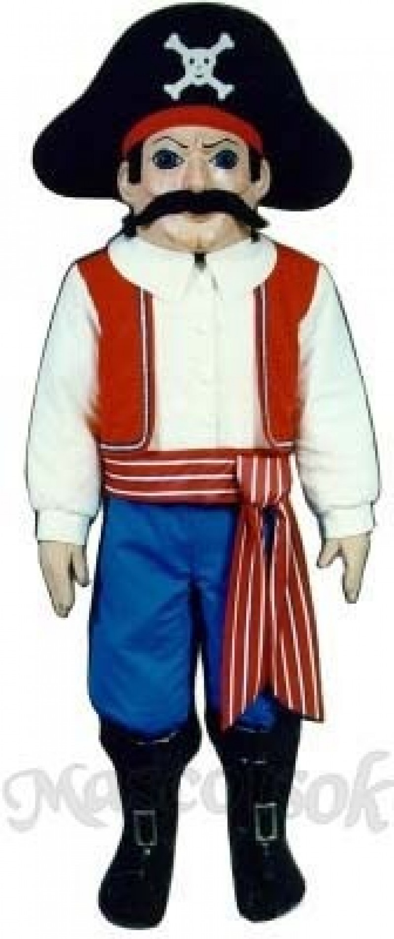 Pirate Mascot Costume