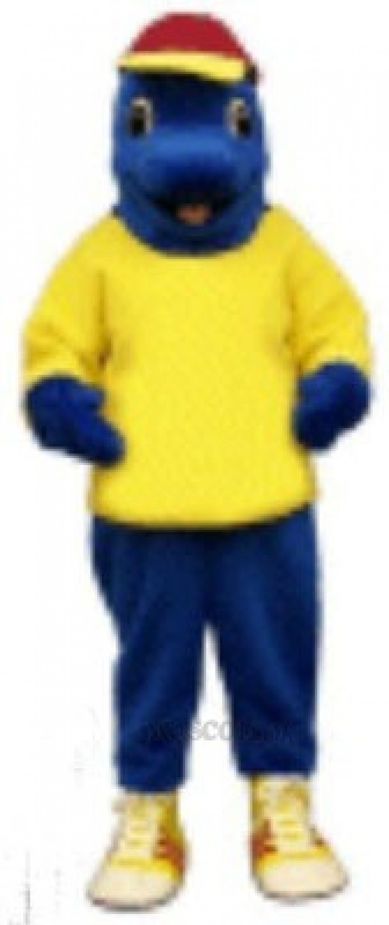 Cute Blue Fish with Shirt & Hat Mascot Costume