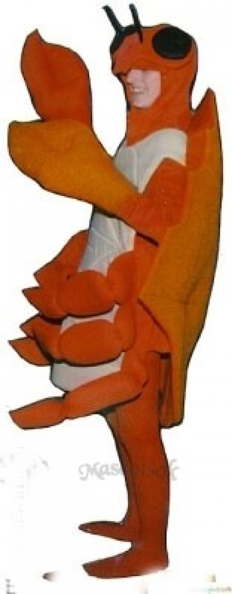 Cute Crab Mascot Costume
