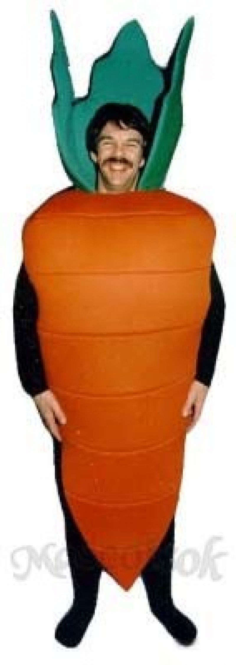 Carrot Mascot Costume